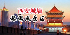 骚逼插死你视频中国陕西-西安城墙旅游风景区