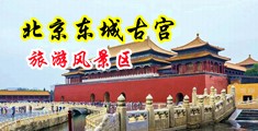 少妇B流淫水中国北京-东城古宫旅游风景区